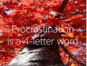 Blog 21