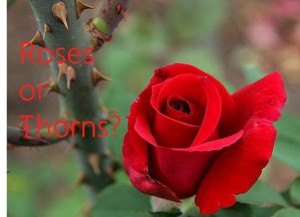 Blog 28