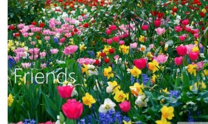 Blog 30